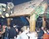 a_20031011_00028_v.jpg 3.3K